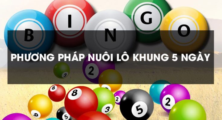nuôi lô kép trong 5 ngày
