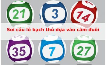 Soi cầu lô bạch thủ lô dựa vào câm đuôi