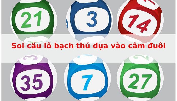 Soi cầu lô bạch thủ lô dựa vào câm đuôi